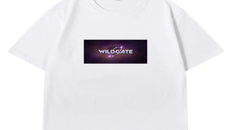 Your One-Stop-Shop for Demeo Official Merchandise: A Buyer’s Guide